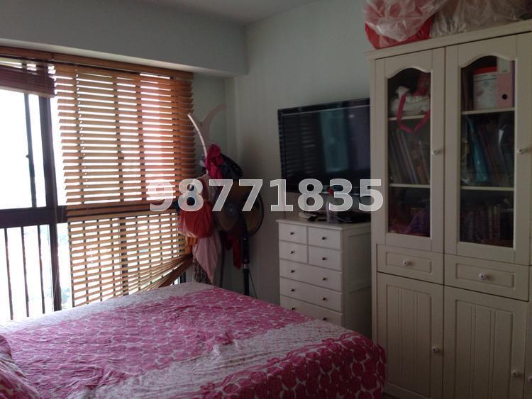 Blk 1C The Pinnacle@Duxton (Bukit Merah), HDB 4 Rooms #64056652